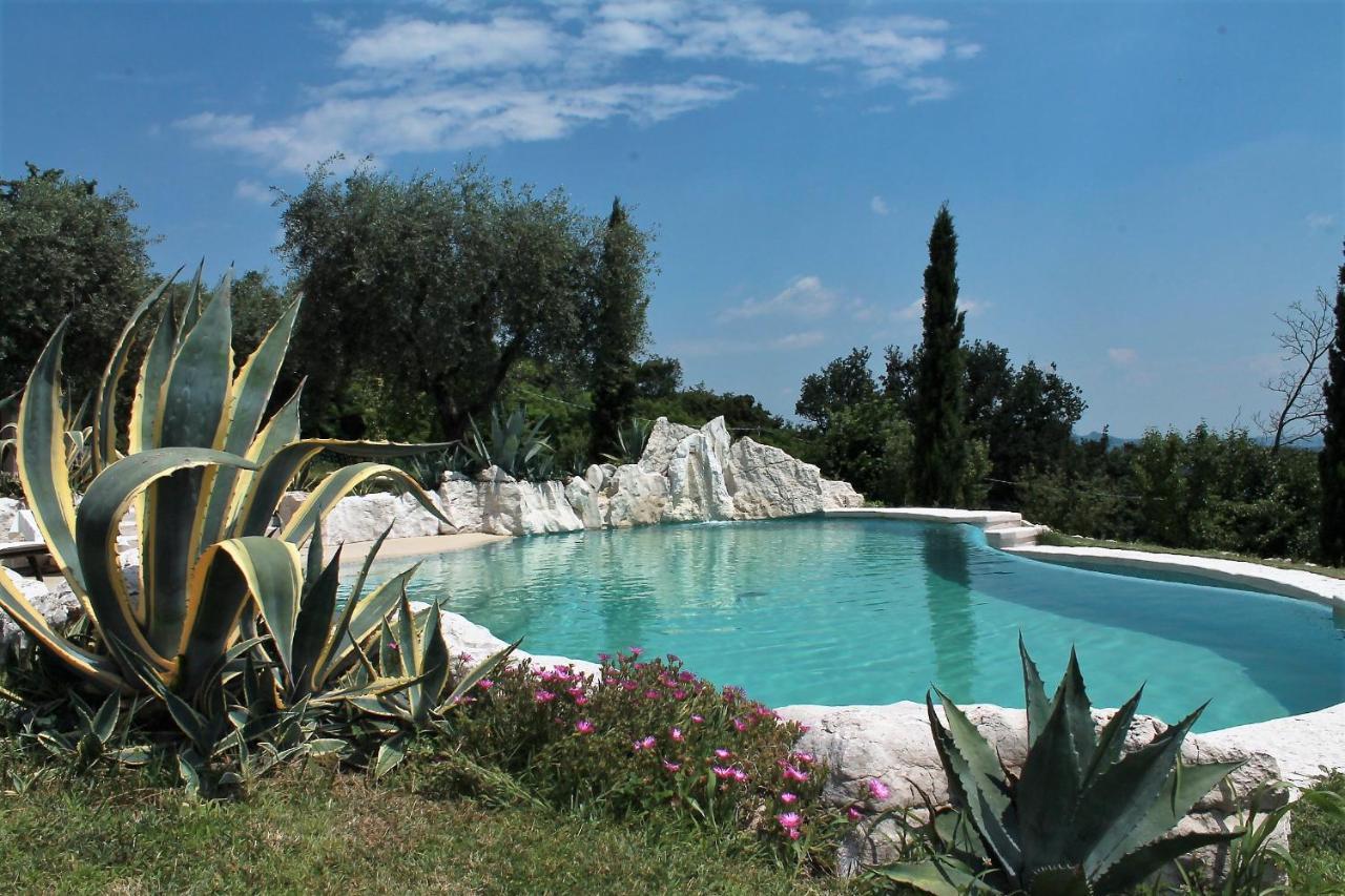 B&B Le Agavi Borso del Grappa Bagian luar foto