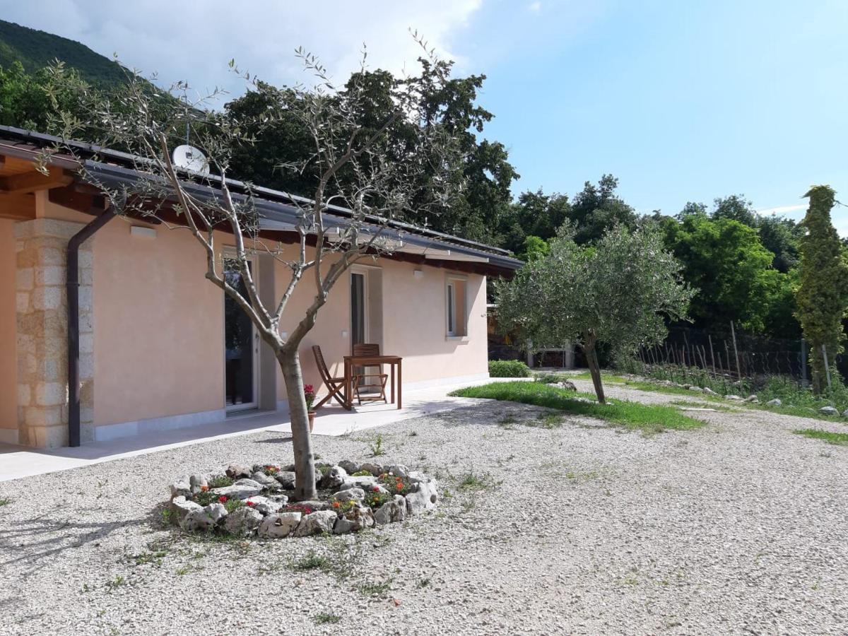 B&B Le Agavi Borso del Grappa Bagian luar foto